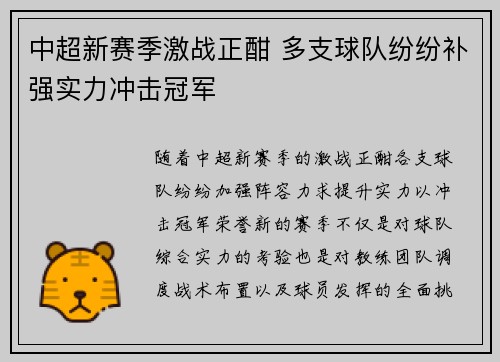 中超新赛季激战正酣 多支球队纷纷补强实力冲击冠军