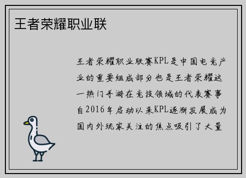 王者荣耀职业联